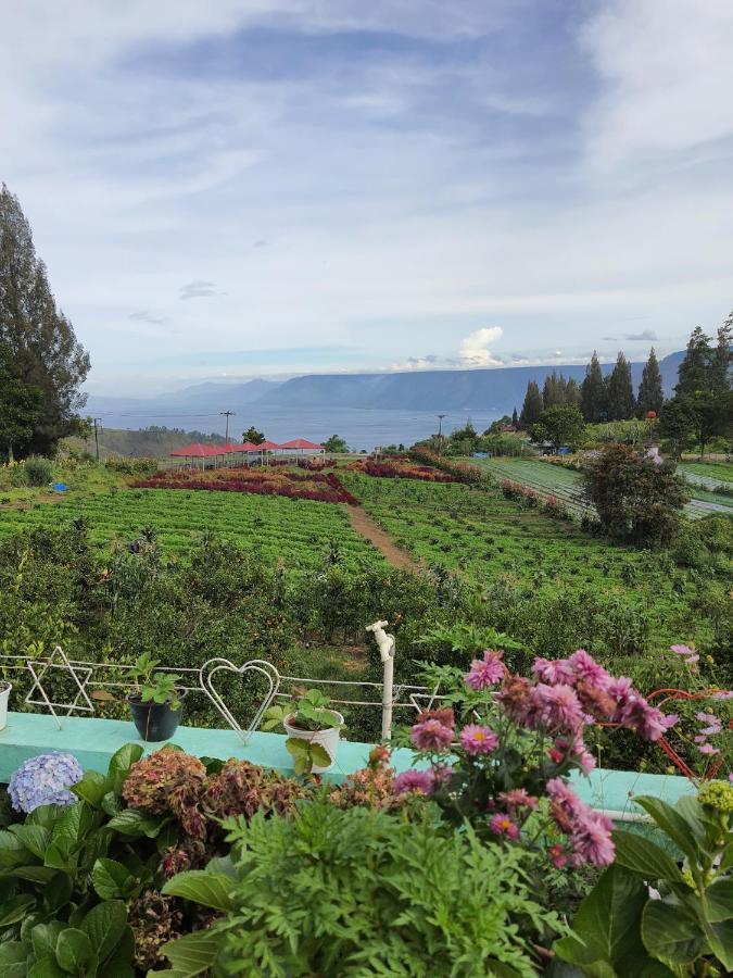 Villa Gunung Mas Berastagi 不拉士打宜 外观 照片